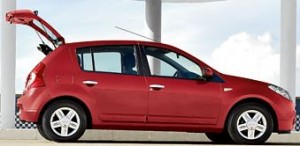 Dein kleiner Nachfolger