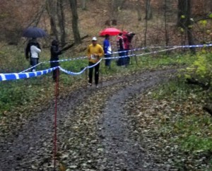 20121110_ZeilerWaldmarathon_0008_640x