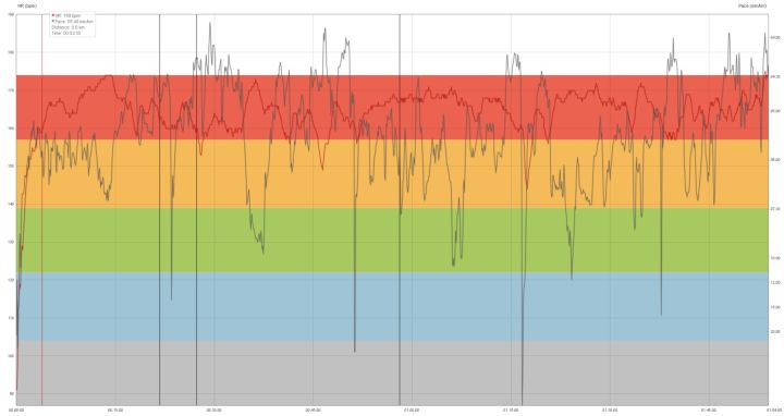 20121110_ZeilerWaldmarathon_Profil_Beermi_720x