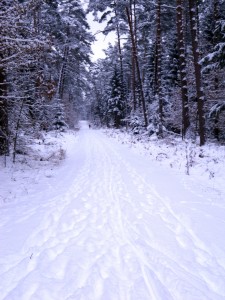 20130118_SnowBike_0004