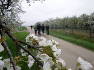 Auf dem Weg zum Kreuzberg