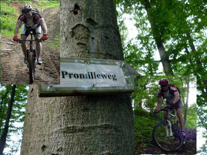 Der Promilleweg hat es in sich - vom Moritzberg hinunter