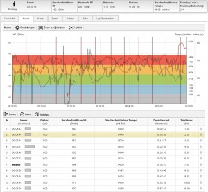 auf die letzten 400m den Puls bis ins uferlose getrieben..... hauptsache auf den Beinen bleiben, das Ziel war nahe ....