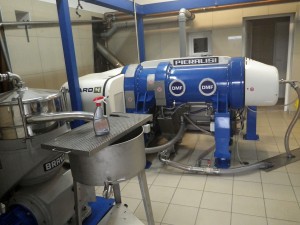 20150925_OlivenOelsuche-0004